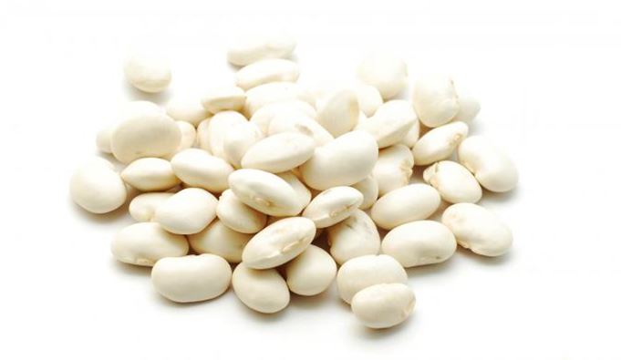 White Kidney Bean-5.png