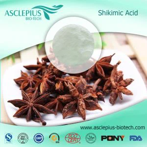 Поставщик порошка экстракта аниса оптом / активным ингредиентом является шикимовая кислота, эфирное масло аниса